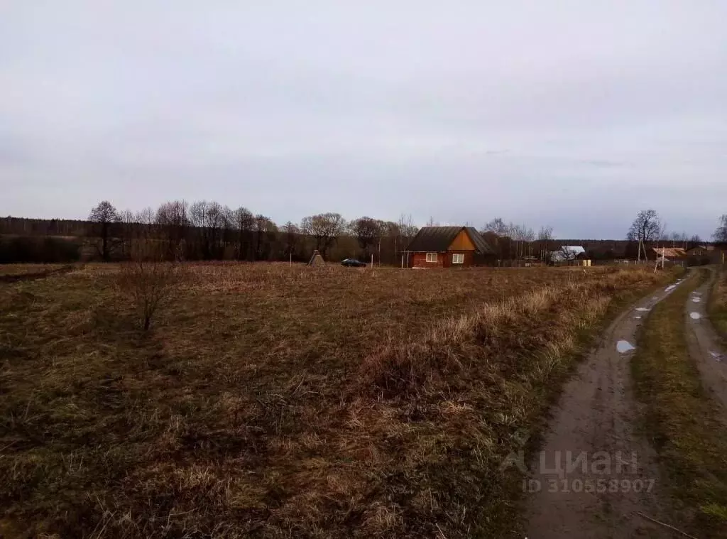 Участок в Владимирская область, Судогодский район, Головинское ... - Фото 0