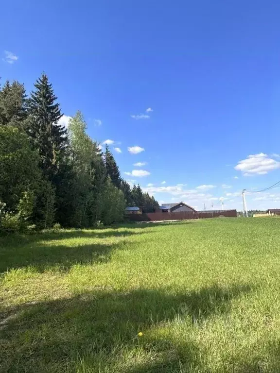Участок в Московская область, Домодедово городской округ, д. Ивановка ... - Фото 1
