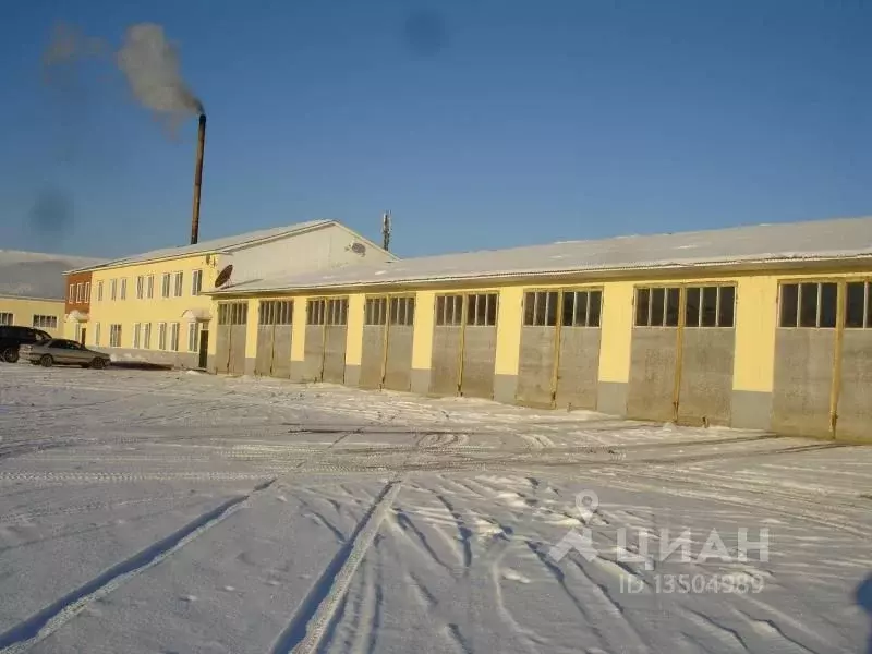Производственное помещение в Иркутская область, Иркутский район, д. . - Фото 0