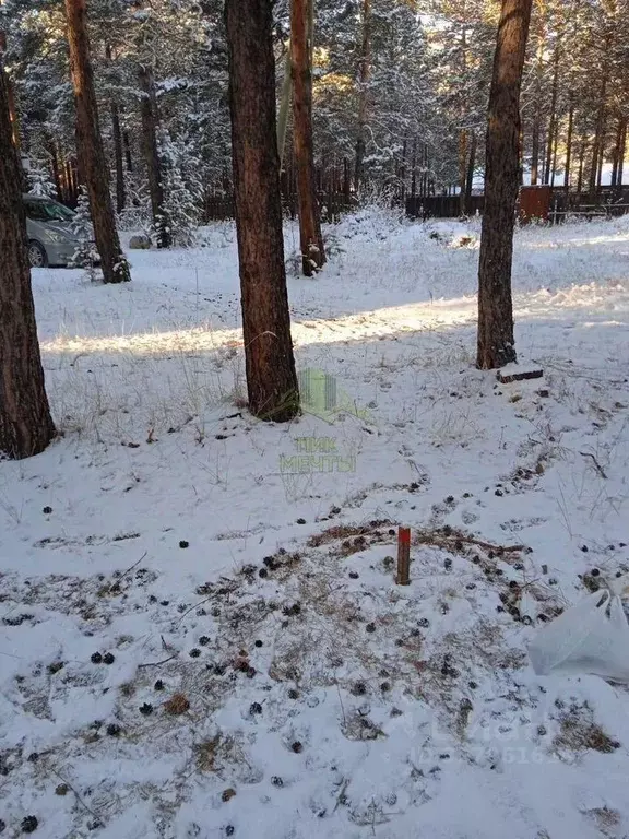 Участок в Бурятия, Тункинский район, пос. Аршан ул. Вересова (10.0 ... - Фото 2