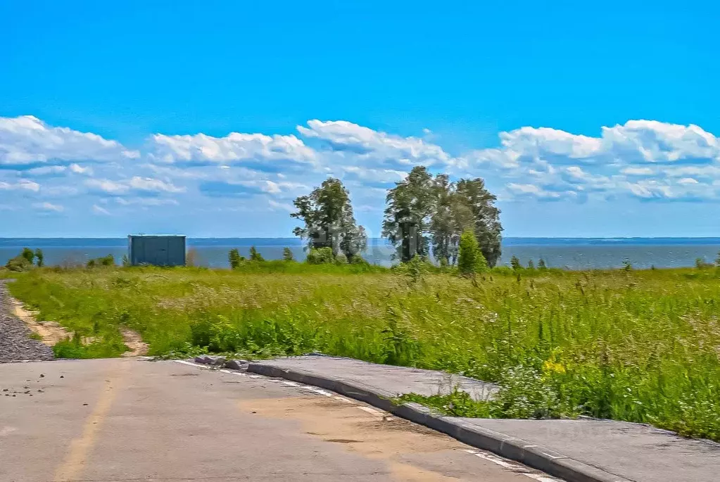 Участок в Новосибирская область, Новосибирский район, Морской ... - Фото 0