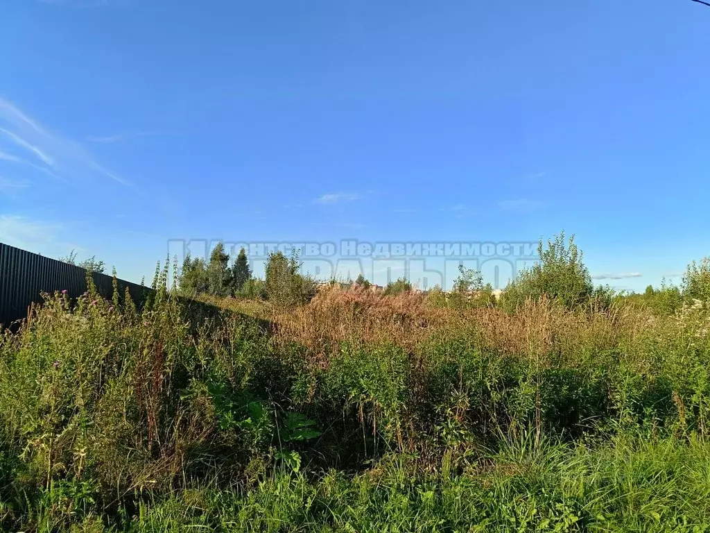 Участок в Смоленская область, Смоленский муниципальный округ, д. ... - Фото 1