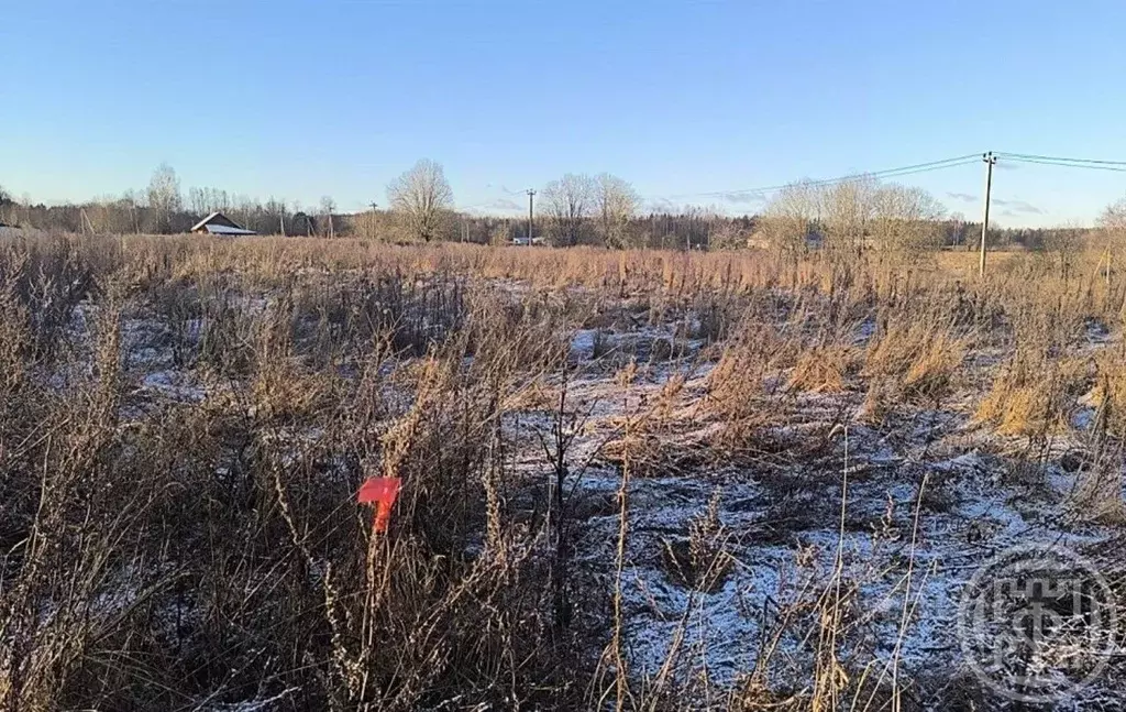 Участок в Ленинградская область, Лужский район, Толмачевское городское ... - Фото 2
