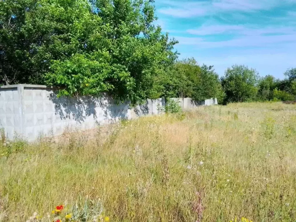 Участок в Белгородская область, Новооскольский муниципальный округ, с. ... - Фото 1