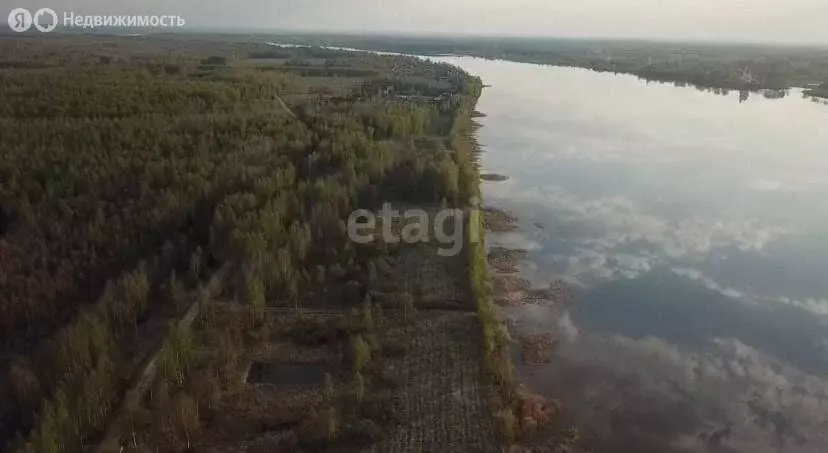 Участок в Ярославская область, сельское поселение Некрасовское, ... - Фото 0