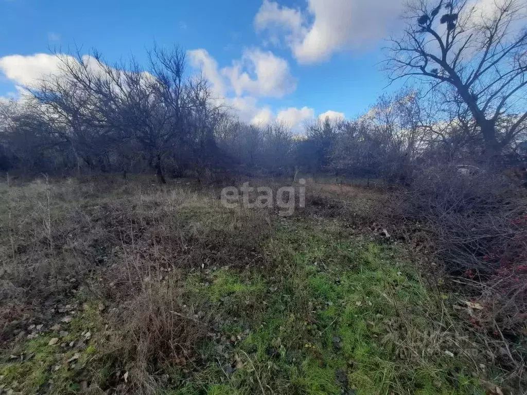 Участок в Краснодарский край, Новороссийск городской округ, Раевская ... - Фото 0