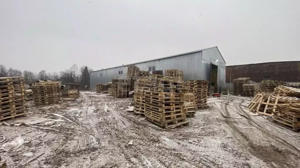 Склад в Удмуртия, Завьяловский район, Новомихайловский починок ул. ... - Фото 1