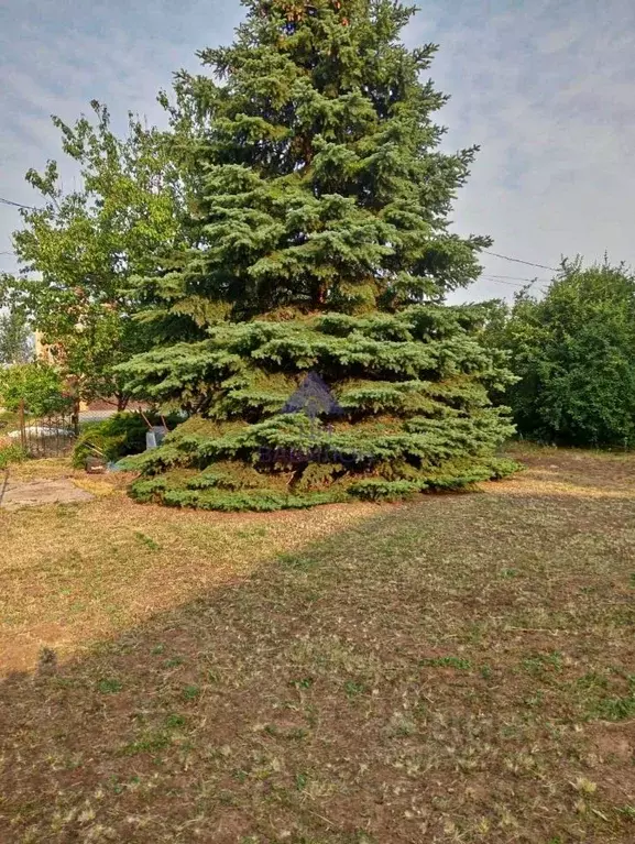 Участок в Ростовская область, Волгодонск Кольцевая ул., 6 (6.0 сот.) - Фото 2