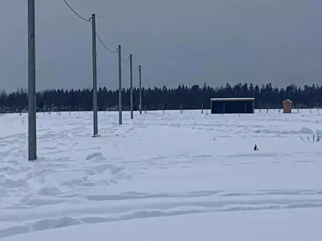 Участок в Тверская область, Калининский район, Заволжское с/пос, д. ... - Фото 2