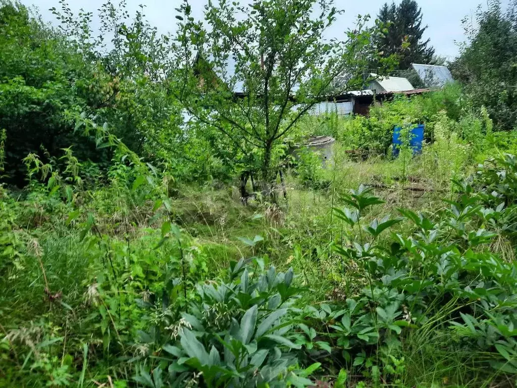 Дом в Тюменская область, Тюмень Топаз СНТ, ул. Солнечная (20 м) - Фото 1
