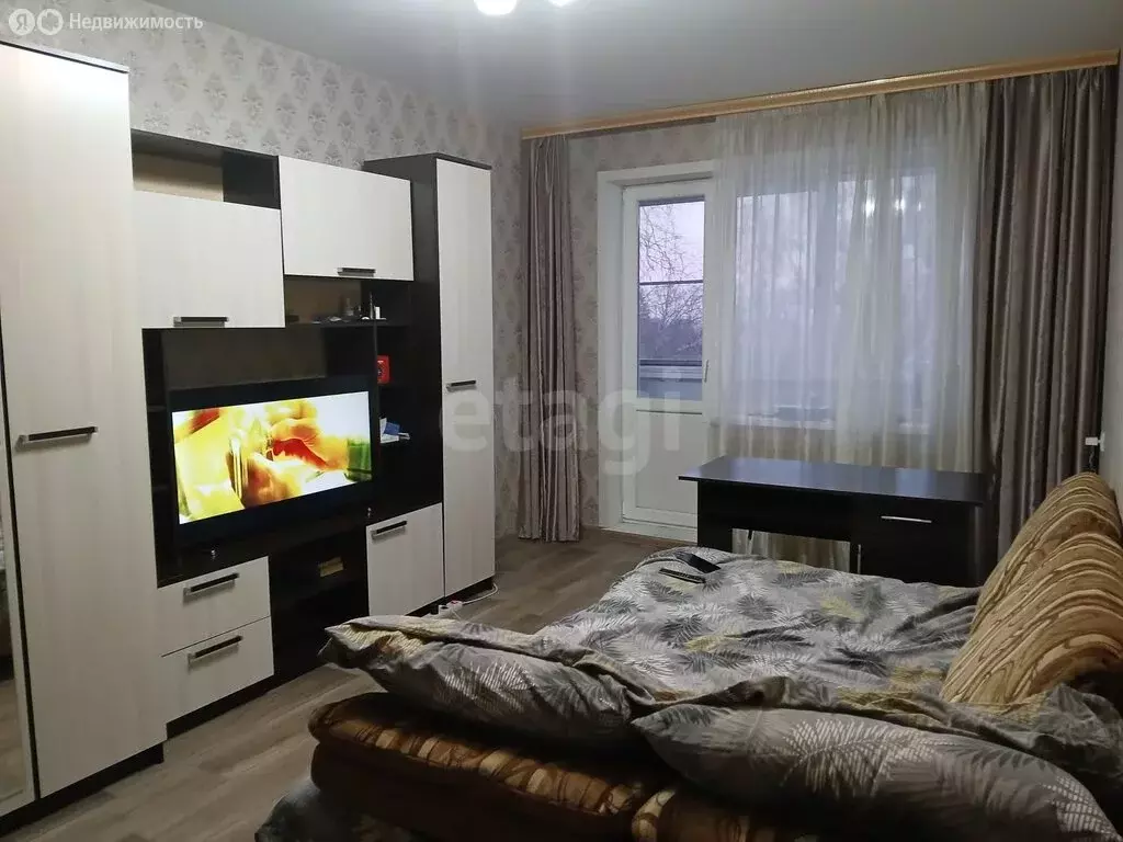 1-комнатная квартира: Тамбов, Мичуринская улица, 151Б (29.9 м) - Фото 1