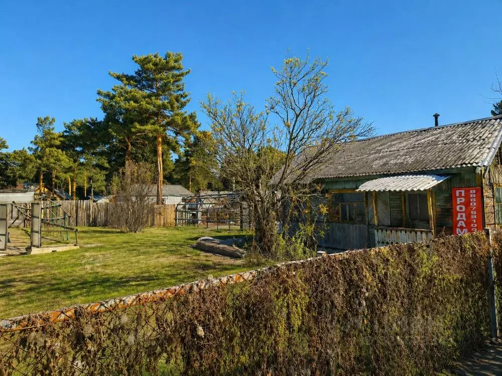 Дом в Иркутская область, Шелехов Металлург СНТ, 123 (16 м) - Фото 2