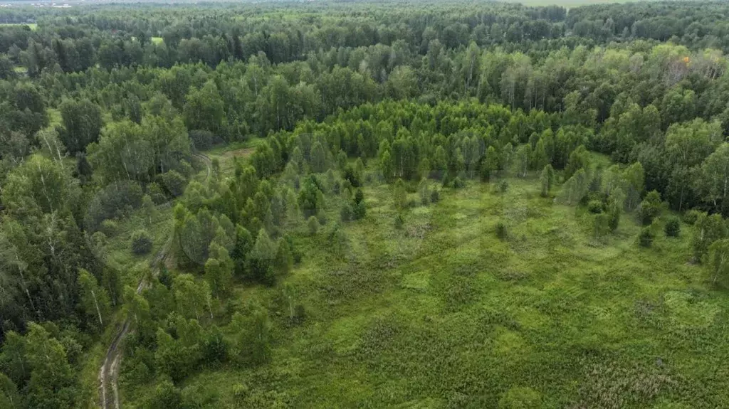 Участок 11,8 сот. (СНТ, ДНП) - Фото 1
