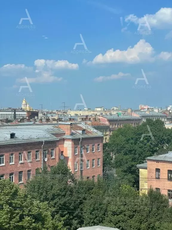 Студия Санкт-Петербург Социалистическая ул., 21 (26.4 м) - Фото 1