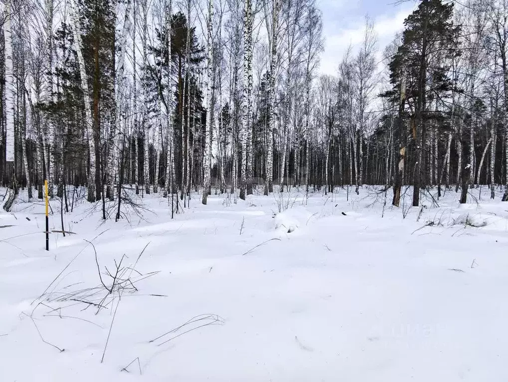 Участок в Тюменская область, Нижнетавдинский район, с. Тюнево ул. ... - Фото 0