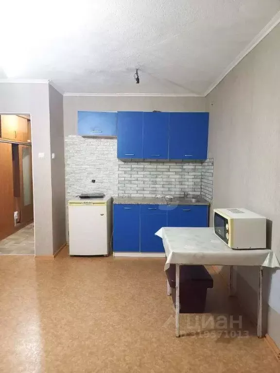 Студия Амурская область, Благовещенск Заводская ул., 4 (27.0 м) - Фото 1