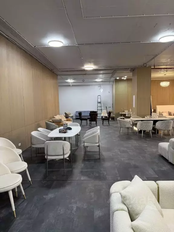 Помещение свободного назначения в Москва 1-й Смоленский пер., 17 (180 ... - Фото 2