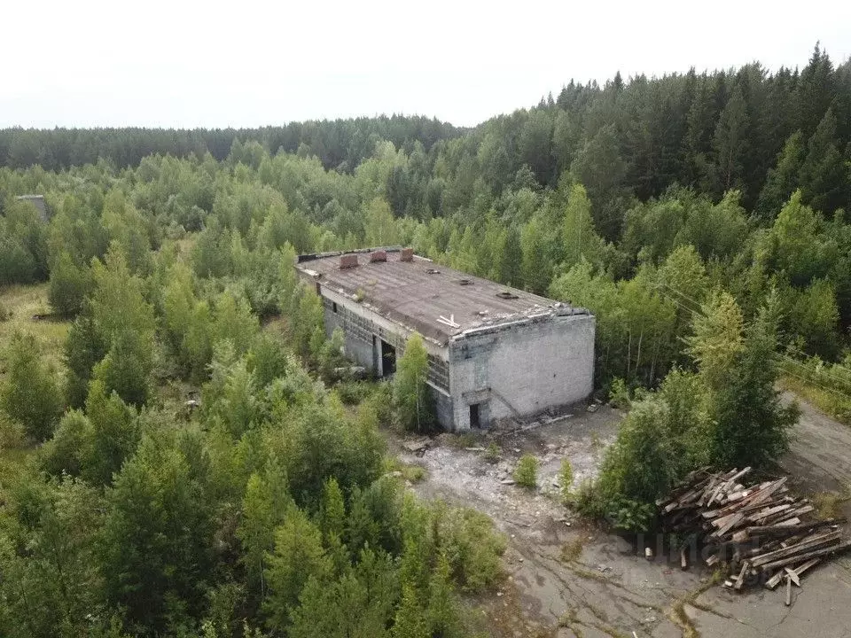 Производственное помещение в Свердловская область, Нижний Тагил ... - Фото 1