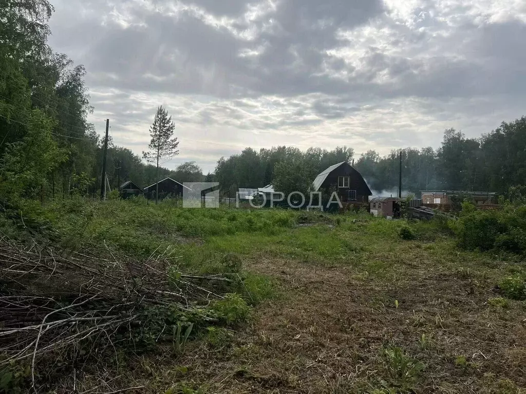Участок в Новосибирская область, Искитимский район, Морозовский ... - Фото 0