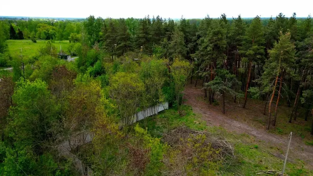 Участок в Курский район, Бесединский сельсовет, село Кувшинное (25000 ... - Фото 1