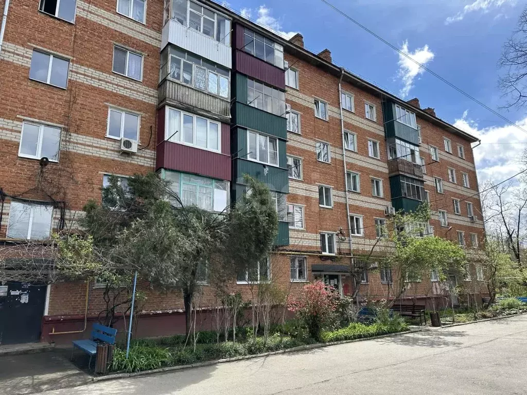 1-к кв. Адыгея, Майкоп ул. Димитрова, 9 (35.5 м) - Фото 1