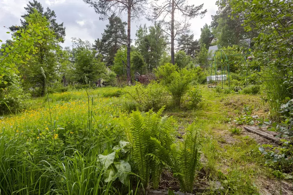 Участок в Кемеровская область, Новокузнецкий муниципальный округ, Луч ... - Фото 1