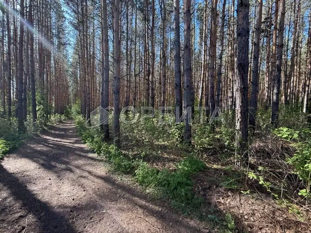 Участок в Тюменская область, Тюменский район, с. Каменка  (10.45 сот.) - Фото 0