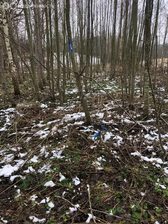 Участок в Московская область, Сергиево-Посадский городской округ, ... - Фото 0