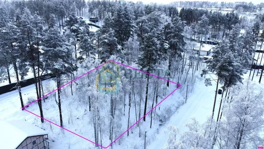 Участок в Ленинградская область, Всеволожский район, Токсовское ... - Фото 1