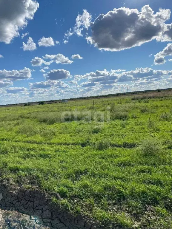 Александровка краснодарский край. Фото хутора зеленая роща Ейский район.