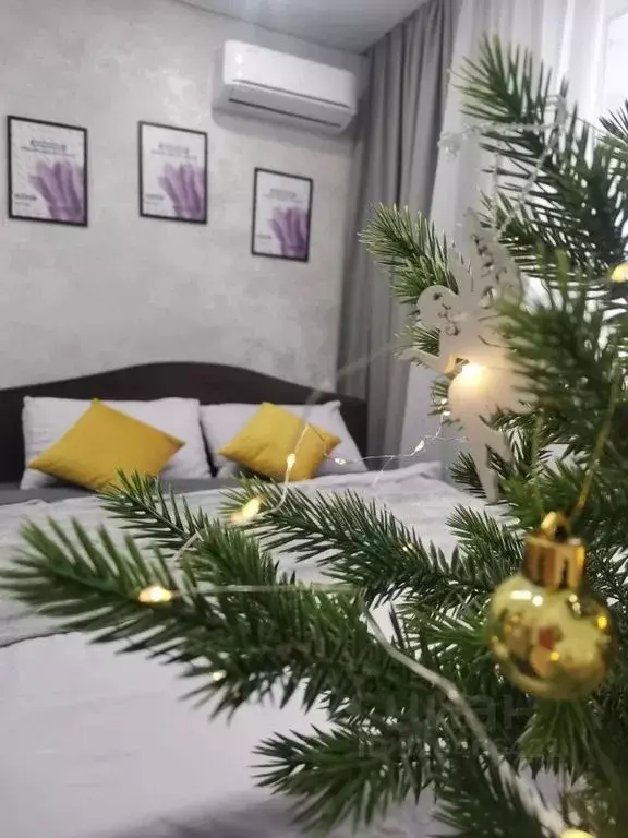 Студия Адыгея, Майкоп ул. К.А. Васильева, 2к3 (23.0 м) - Фото 1