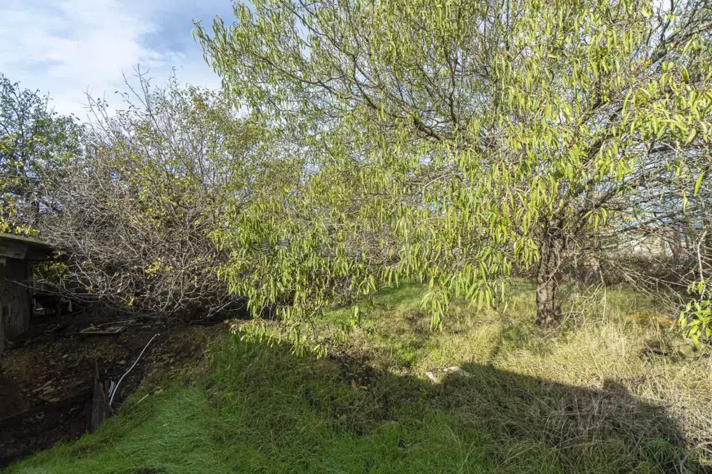 Участок в Севастополь Слип садоводческое товарищество, 174 (4.0 сот.) - Фото 1