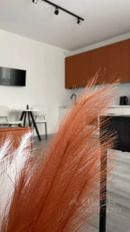 Студия Санкт-Петербург пос. Парголово, дор. Михайловская, 16к3 (27.0 ... - Фото 2