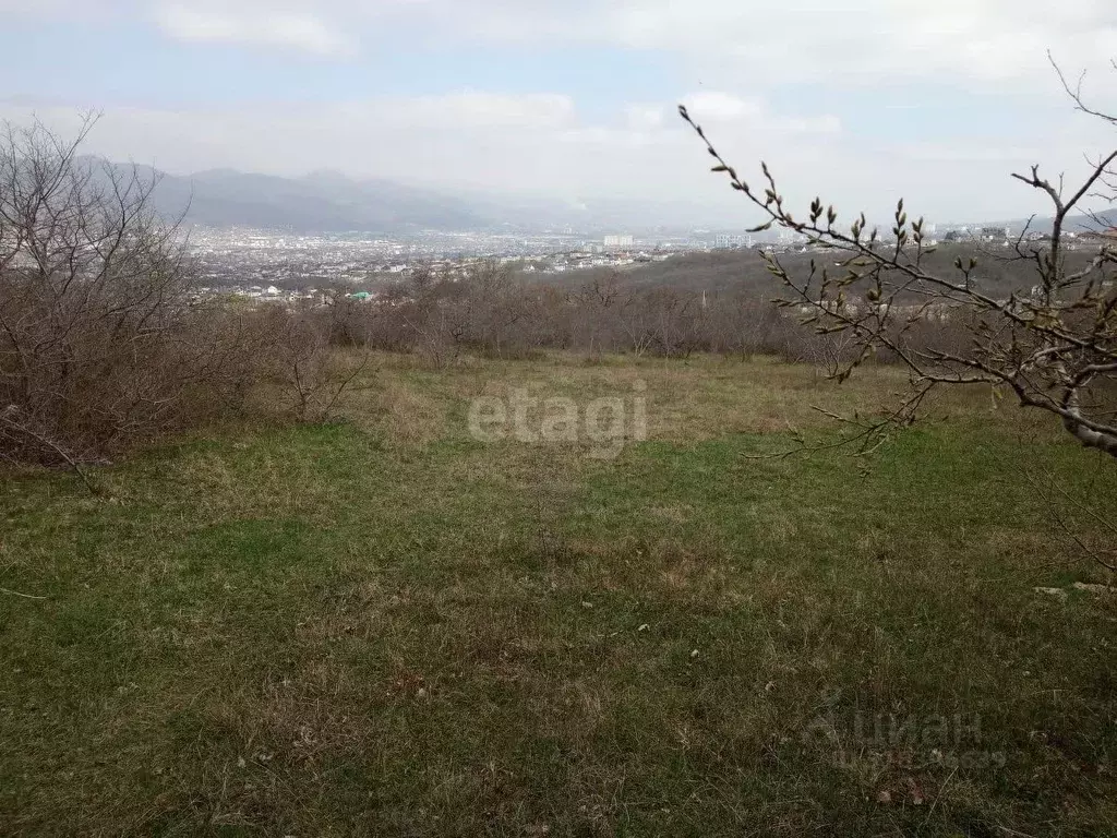 Участок в Краснодарский край, Новороссийск Цемдолина тер., ул. ... - Фото 0