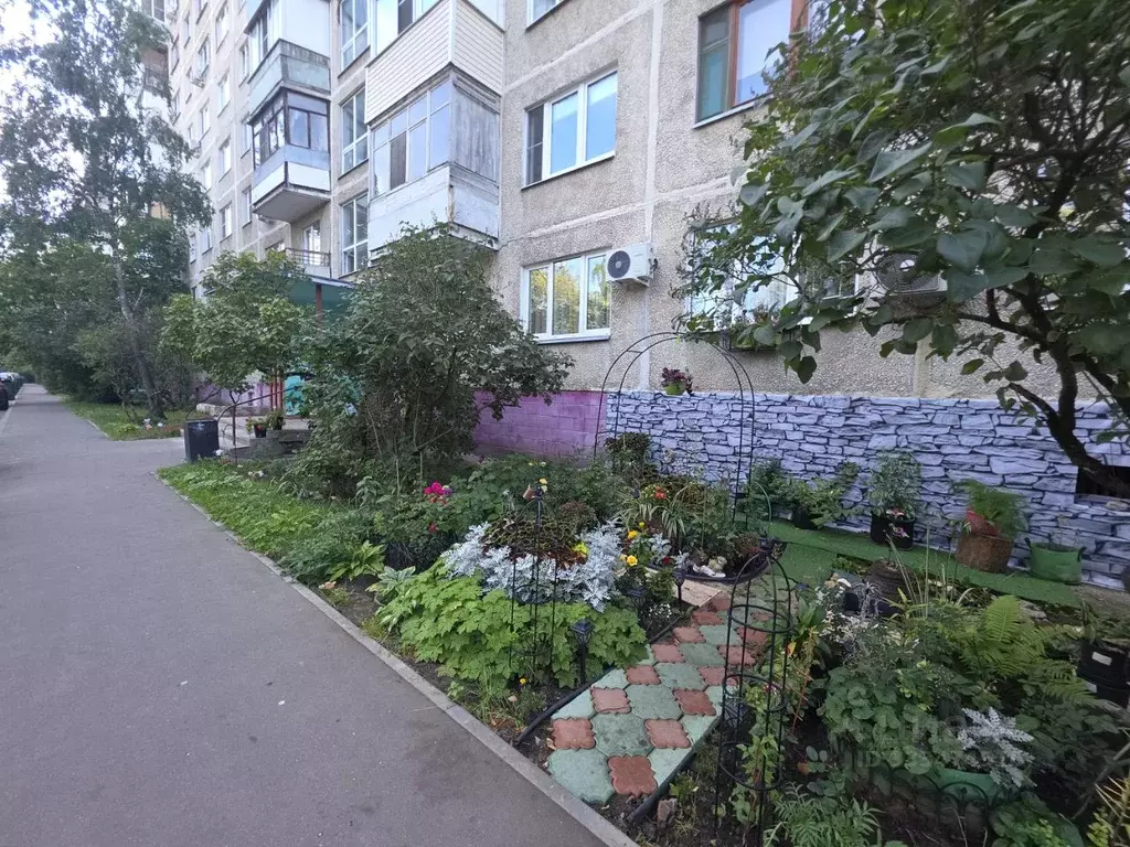 3-к кв. Московская область, Раменское ул. Гурьева, 26 (63.0 м) - Фото 1
