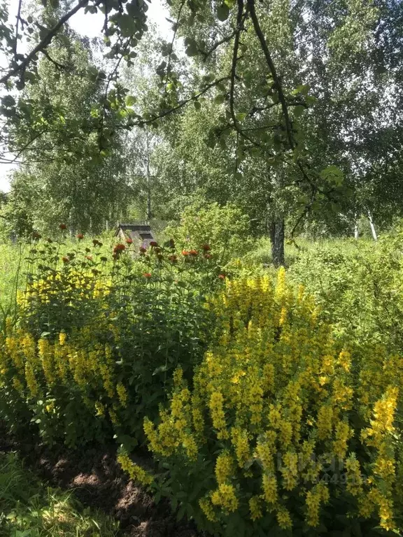 Дом в Тульская область, Ясногорский район, Ревякинское с/пос, № 25 ... - Фото 2