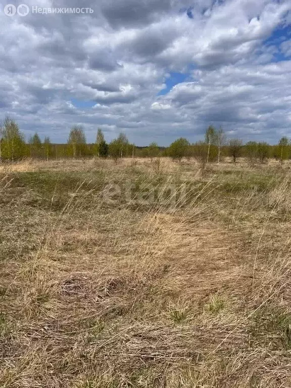 Участок в Томск, посёлок Родионово, Зелёная улица (13.9 м) - Фото 0