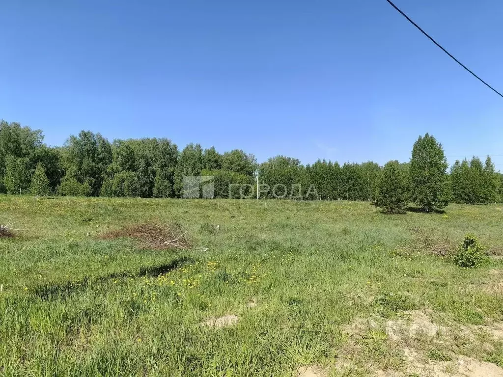 Участок в Новосибирская область, Новосибирский район, Станционный ... - Фото 2