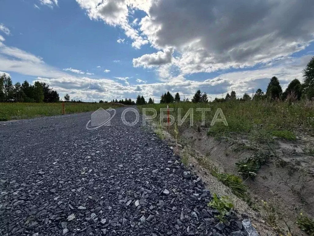 Участок в Тюменская область, Нижнетавдинский район, д. Штакульская  ... - Фото 1