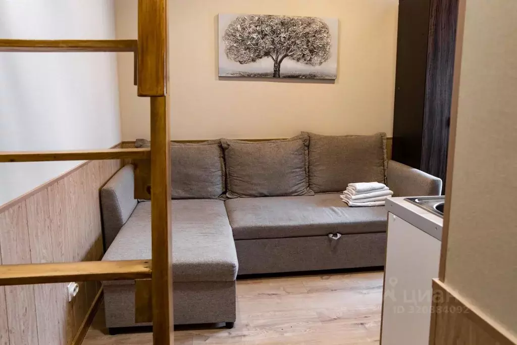 1-к кв. Санкт-Петербург ул. Маяковского, 46Б (18.0 м) - Фото 1