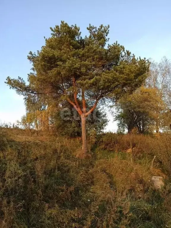 2-к кв. Ярославская область, Рыбинск ул. Рокоссовского, 9 (41.0 м) - Фото 0