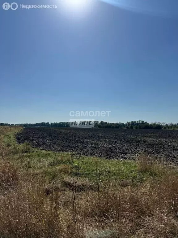 Участок в Тимашевский район, Дербентское сельское поселение, хутор ... - Фото 2