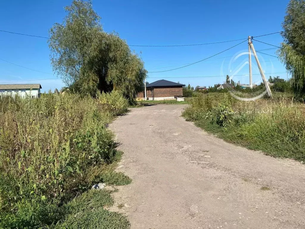 Участок в Воронежская область, с. Новая Усмань ул. Победы, 141/2 (12.0 ... - Фото 2