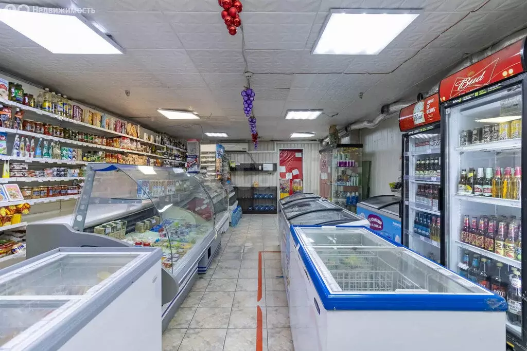 Торговая площадь (99.8 м) - Фото 1