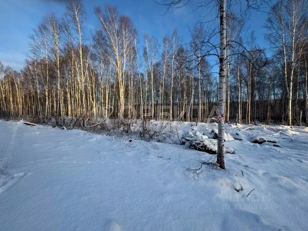 Участок в Тюменская область, Нижнетавдинский район, с. Черноярка  ... - Фото 0