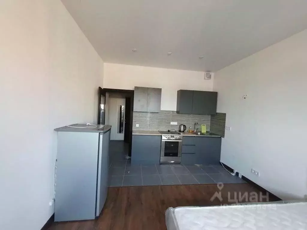 Студия Московская область, Пушкино ул. Александра Меня, 1 (25.0 м) - Фото 1