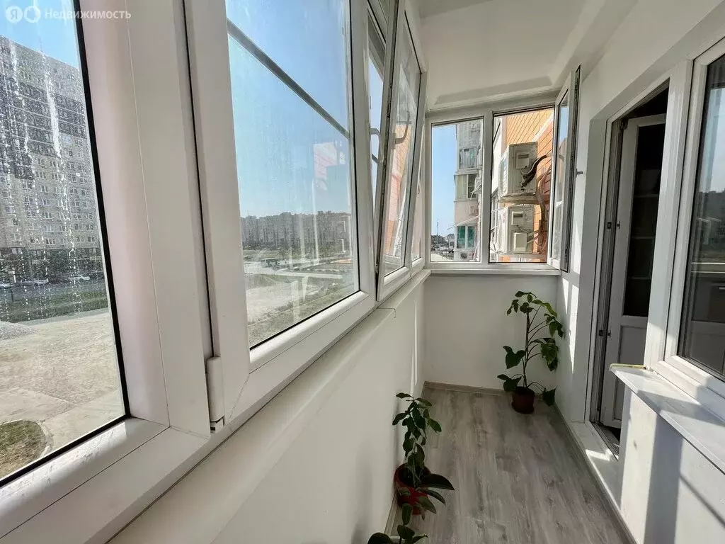 1-комнатная квартира: Анапа, улица Ленина, 227 (35 м) - Фото 0