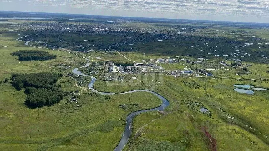 Участок в Новосибирская область, Чулым  (3400.0 сот.) - Фото 1