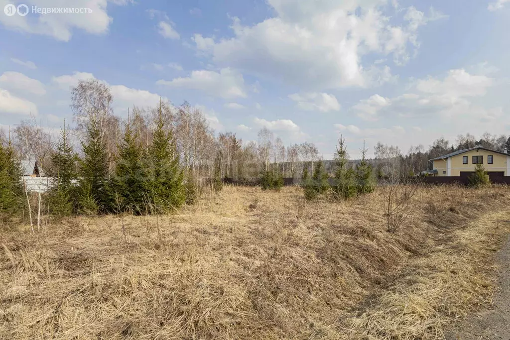 Участок в Калужская область, Жуковский муниципальный округ, деревня ... - Фото 2