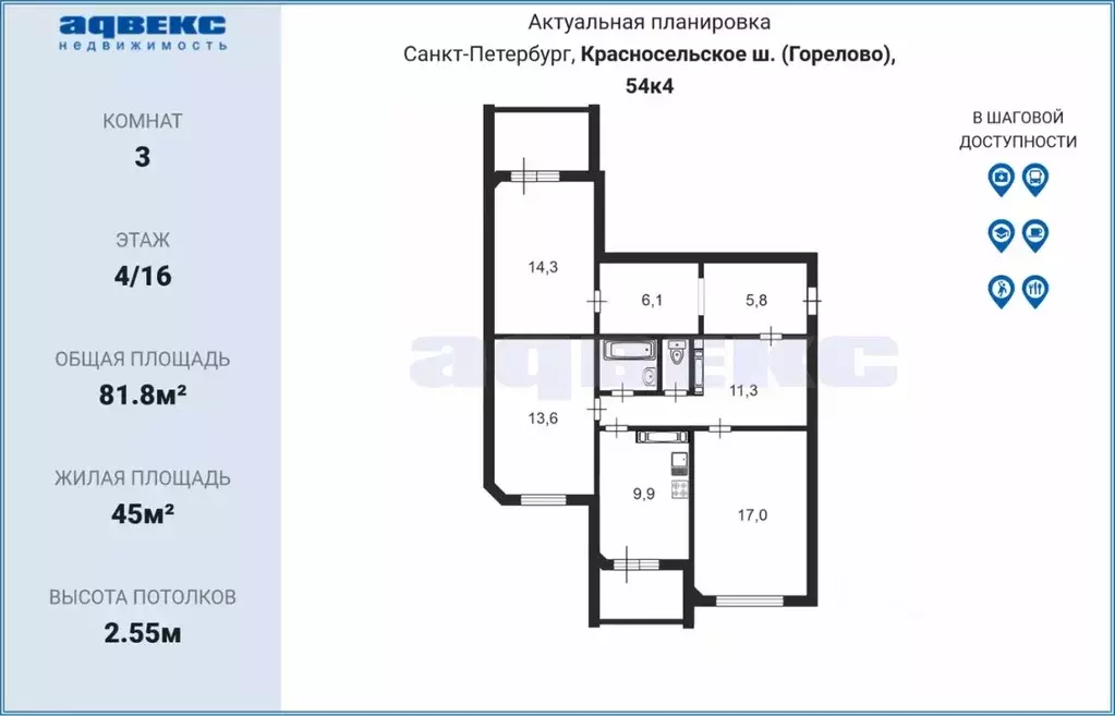 3-к кв. Санкт-Петербург Горелово тер., ш. Красносельское, 54к4 (81.8 ... - Фото 1